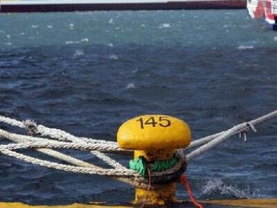 Εγκαίνια της έκθεσης καρναβαλικών αφισών