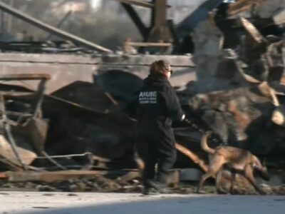 Με τη συνδρομή σκύλων- ανιχνευτών οι έρε...