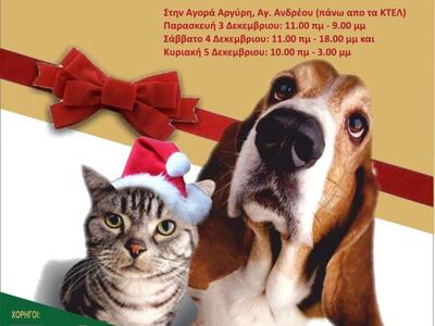 Χριστουγεννιάτικο Bazaar από τον Αχαϊκό ...