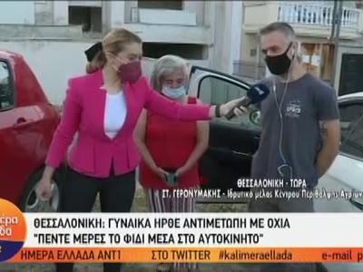  “Πάλευε” με φίδι στο αυτοκίνητο για πέν...