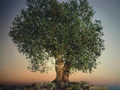 Πάτρα: Μικροί και μεγάλοι θα ακούσουν κα...