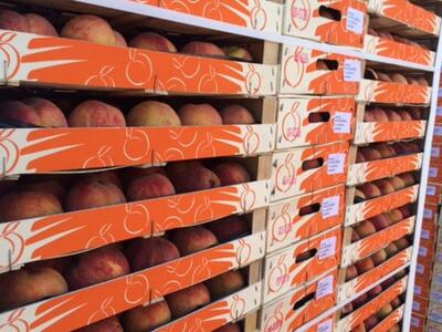 Αγρίνιο: Παρέδωσαν στο δήμο για να διαθέ...