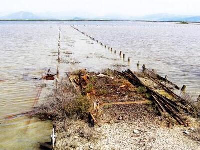 Κέρκυρα: Το ΤΑΙΠΕΔ απειλεί τα φλαμίνγκο