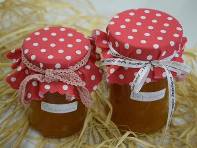 Χριστουγεννιάτικο παζάρι "Κοινο_Τοπίας" για τη στήριξη των πυρόπληκτων Αχαΐας(ΦΩΤΟ) | Molonoti News