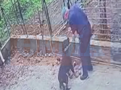 Καλαμάτα: Ο 76χρονος ζήτησε από τους αστ...