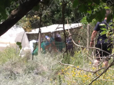 φωτογραφία patrisnews.com