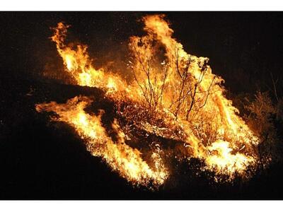Ζάκυνθος: Μαίνεται η φωτιά-Μεγάλωσε το μ...