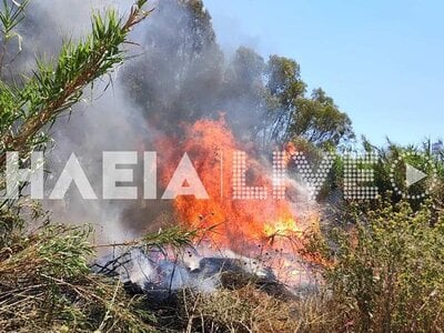 Σε ύφεση οι φωτιές στην Hλεία: Στη Σπιάν...