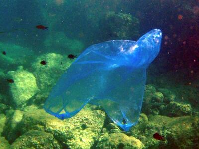 Πάτρα: Δράση του Πανεπιστημίου και Φορέω...