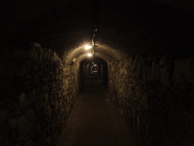 Σχεδόν 3.000 καταφύγια στην Ελλάδα για τ...