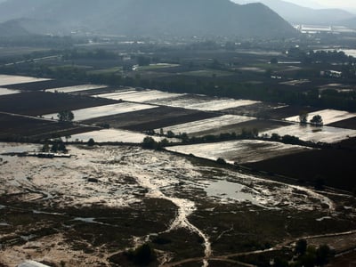  Έλληνες επιστήμονες: «Όσο περνούν τα χρ...