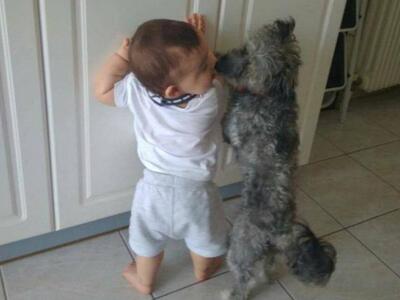 Αυξάνονται τα κρούσματα κακοποίησης ζώων...