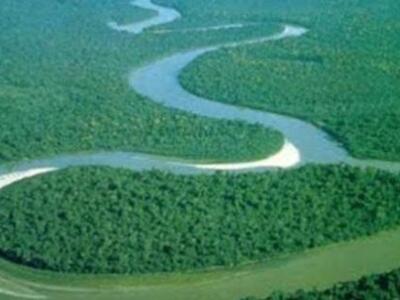 Φεύγουν από τη διάσκεψη για το κλίμα οι ...