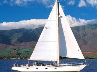 Γύθειο: Εντόπισαν ιστιοφόρο που μετέφερε...