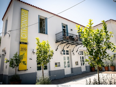 ΕΞΩΤΕΡΙΚΗ ΑΠΟΨΗ ΤΗΣ ΓΚΑΛΕΡΙ