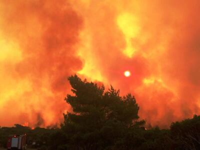 Πυρκαγιά σε πυκνόφυτη περιοχή Ελαίας Γορ...