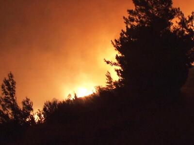 Ολονύχτια μάχη με τις φλόγες στη Ζάκυνθο...