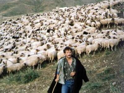 30 εκατομμύρια ενίσχυση για τους Έλληνες...