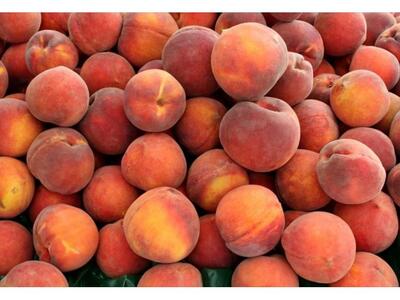 Δωρεάν διανομή ροδάκινων την Πέμπτη στο ...