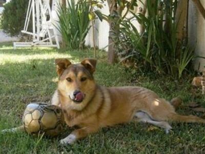 Πάτρα: Χάθηκε ο Άλεξ - Μπορείτε να βοηθήσετε; 