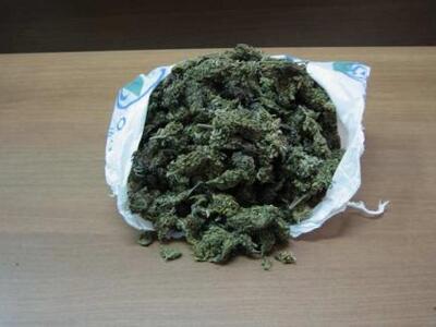 Σύλληψη 25χρονου στο Αίγιο, για καλλιέργ...