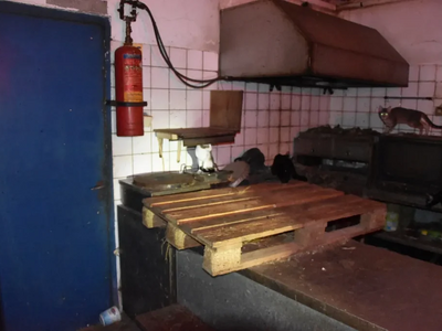 φωτογραφία από ΕΡΤ