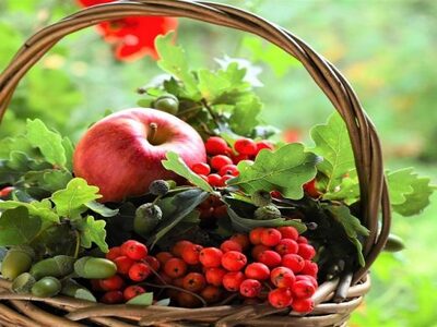 Μείωση στις εξαγωγές καλοκαιρινών φρούτων 