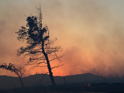 Κοντεύει να φτάσει στην Αφρική ο καπνός ...