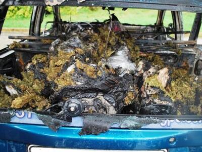 Έφερε με το αυτοκίνητό του 20 κιλά κάννα...