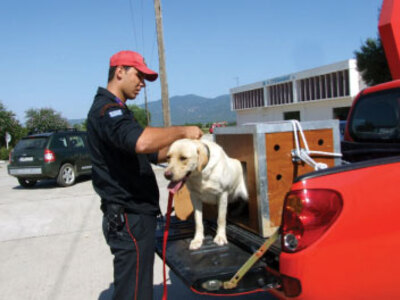 Μπεκίρης: Απαράδεκτη η κατάργηση της 6ης ΕΜΑΚ