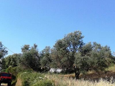 "Πληγή" τα ακαθάριστα οικόπεδα...