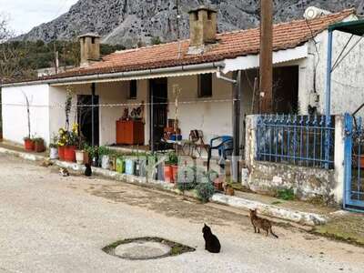 Αιτωλοκαρνανία: Eξελίξεις στη φονική λησ...