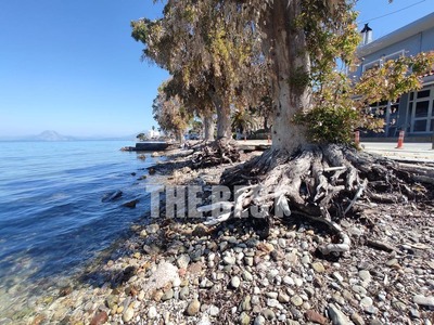 «Βομβαρδισμένο τοπίο» σε Ροΐτικα, Βραχνέ...
