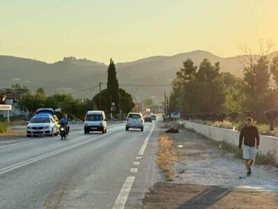 Ζάκυνθος: Συνελήφθη 46χρονος για την εγκ...