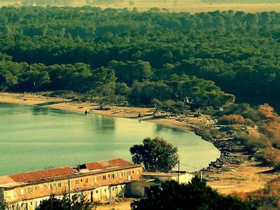 Ανδραβίδα: Στόχος να αναδειχθεί το Κουνο...