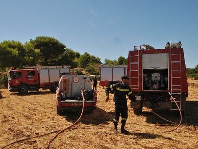 Πυρκαγιά σε δασική έκταση στην Πρέβεζα