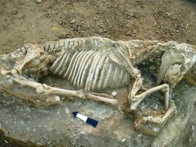 Χίος: Βρέθηκε εντυπωσιακή νεκρόπολη 