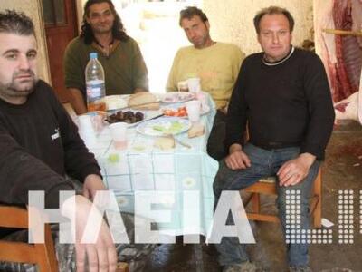 Ο έρωτας... των γουρουνιών στα Μακρίσια Ηλείας 