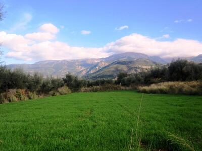 «Οικολογική Δυτική Ελλάδα»: Στη νέα χρον...