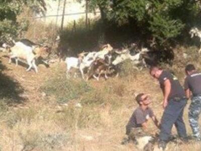 Δασοκομάντος και πάνοπλοι άνδρες της ΔΙΑ...