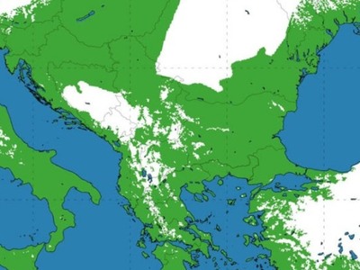 Την επομένη των Χριστουγέννων τo 8% της ...