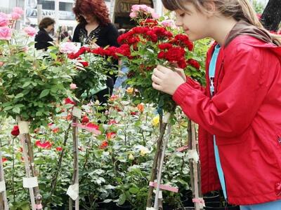 Την Παρασκευή στα Ψηλαλώνια η γιορτή των...