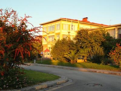 Αντιδράσεις και από Αθήνα - Θεσσαλονίκη ...