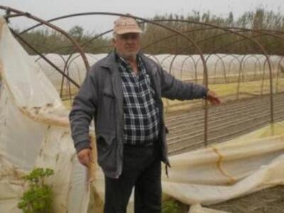 Γαστούνη: Καταστράφηκαν θερμοκήπια απο τ...