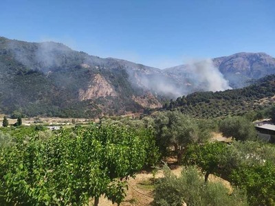 Φωτό: Φιλόδημος