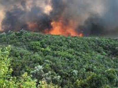 Ηλεία: Σε εξέλιξη η φωτιά  σε δύσβατη πε...