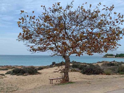 Καιρός: Οι Αλκυονίδες φέρνουν 20άρια - Π...