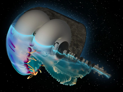 Εικόνα του έργου Proximum / Project Hype...