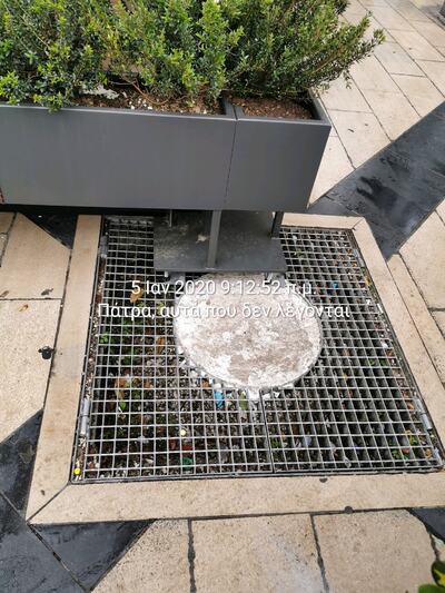 Σε κάποιες περιπτώσεις τα δέντρα τσιμεντ...