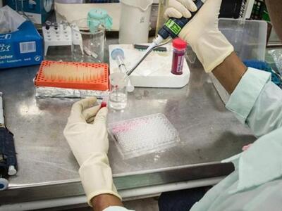 Δανοί ερευνητές υποστηρίζουν ότι βρήκαν ...